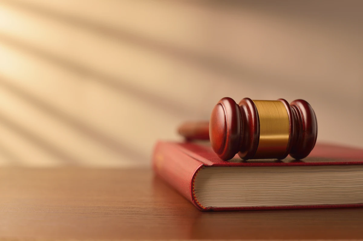 La loi Elan et ses implications pour les propriétaires : tout ce qu'il faut savoir